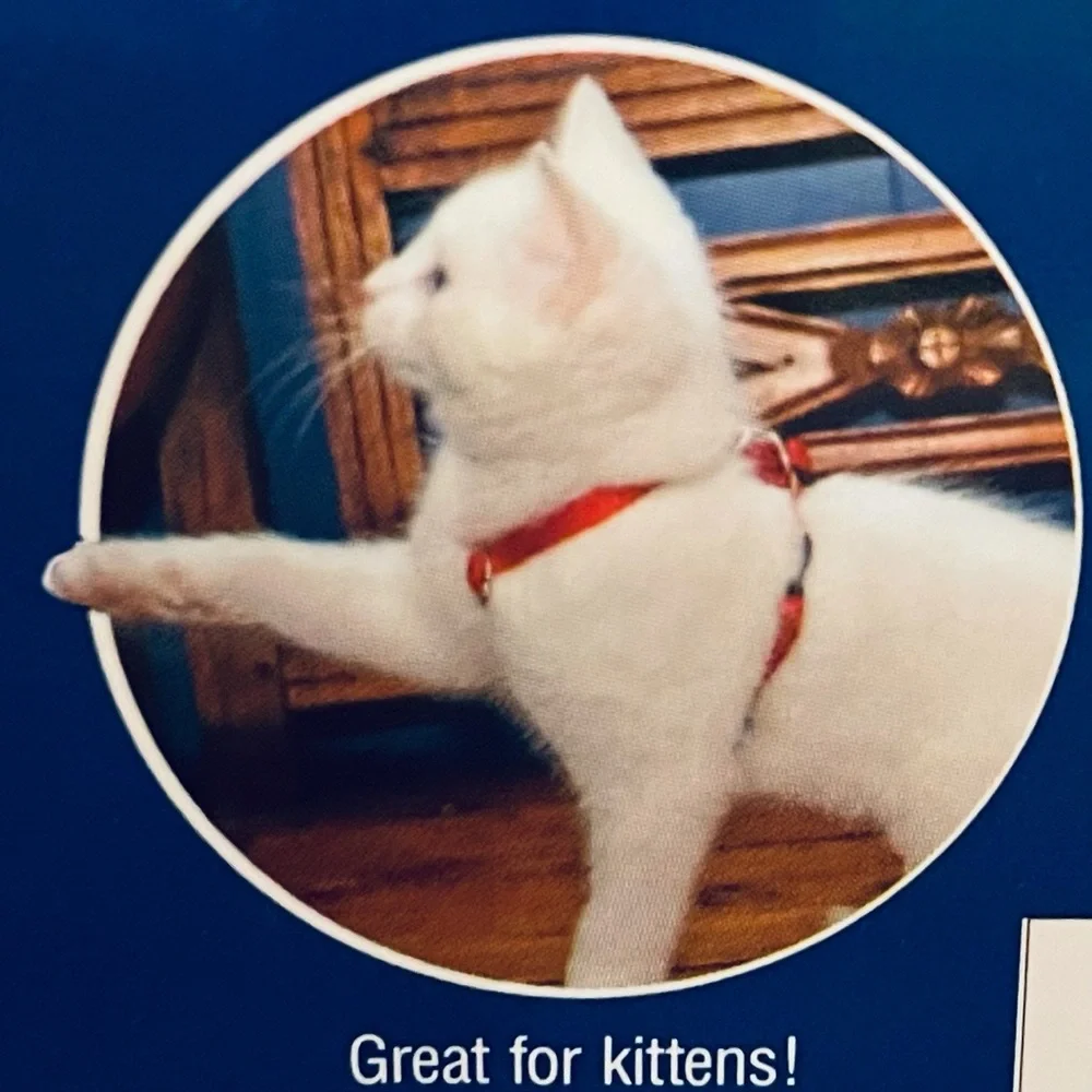 Cat Harness set